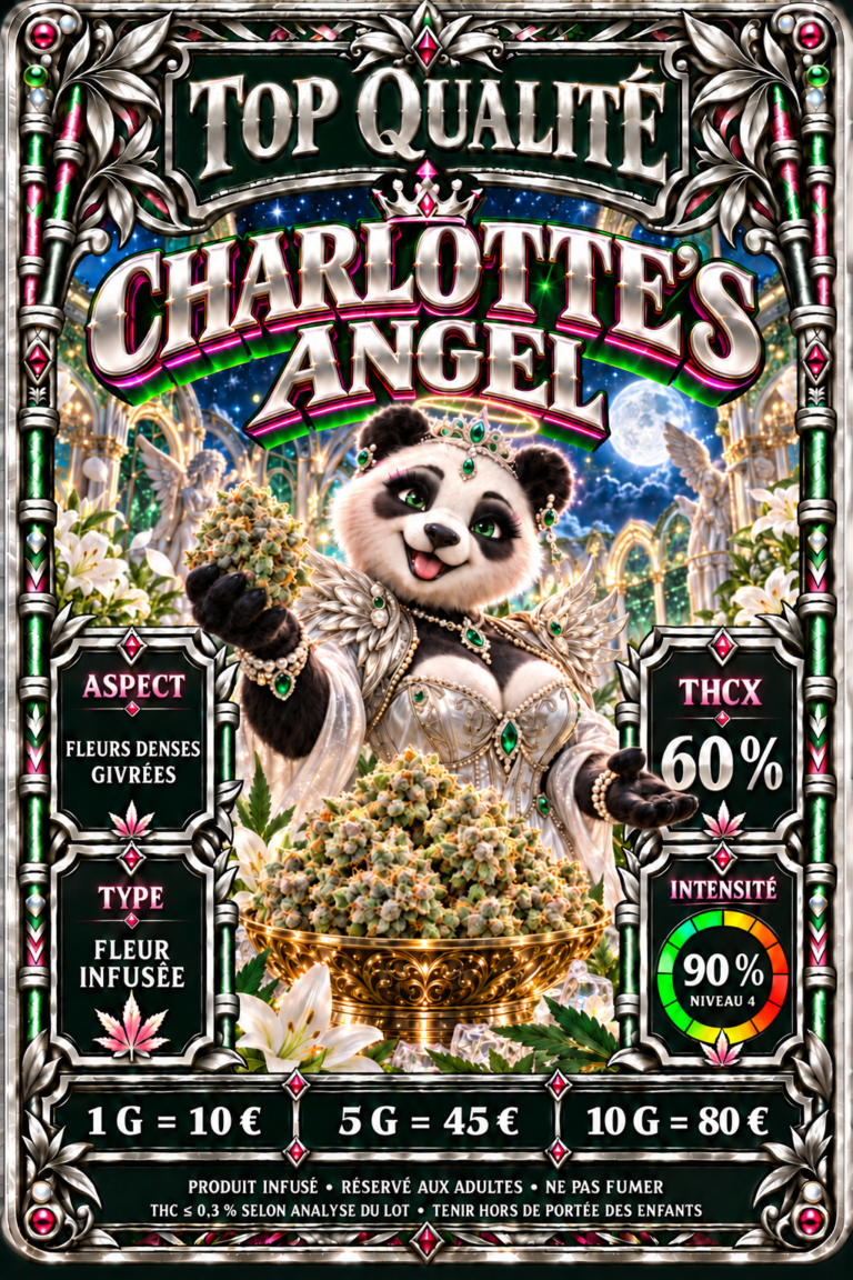 Charlotte’s Angels