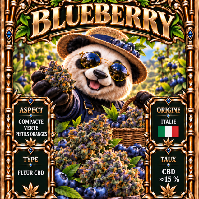 Carte produit blueberry selection – MR BAMBOO